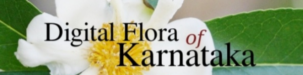 Digital flora of karnataka