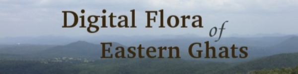 Digital flora of eastern ghats