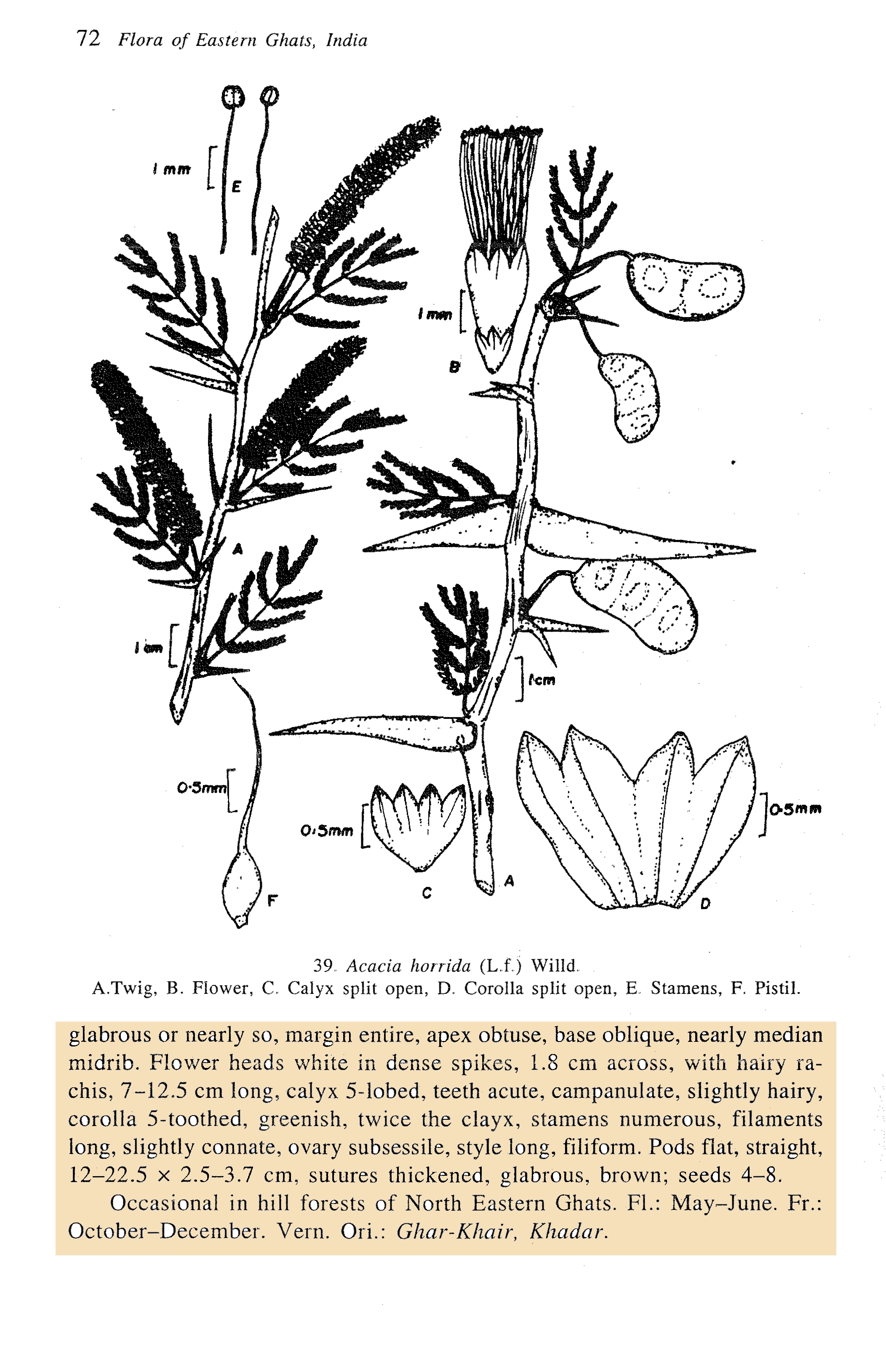 India Flora Online