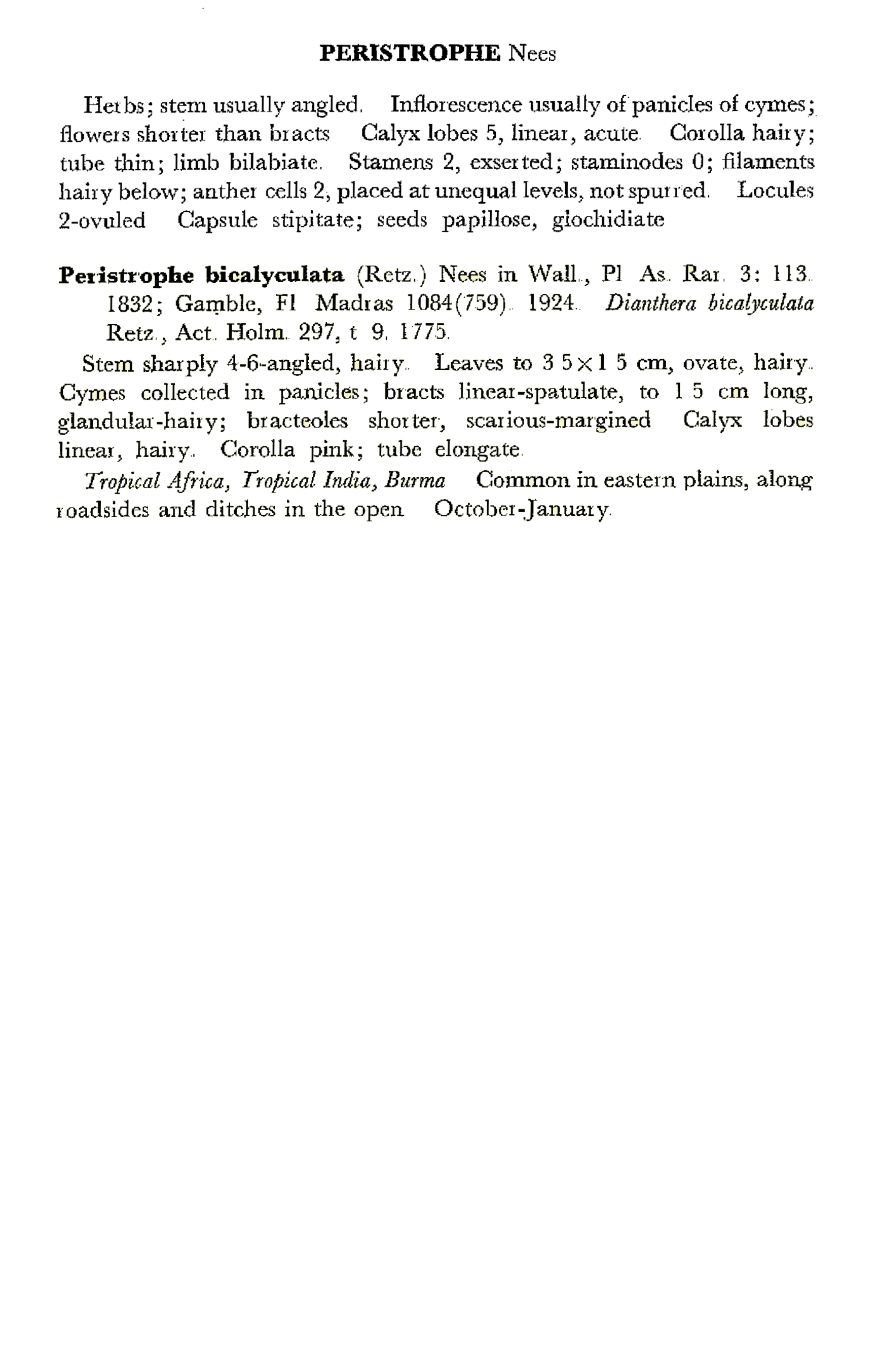 Peristrophe India Flora Online